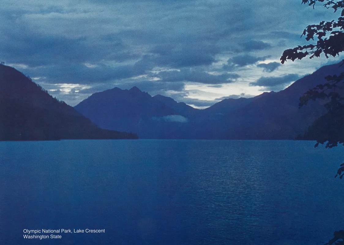 Scenically Yours Olympic National Park Lake Crescent Washington State
