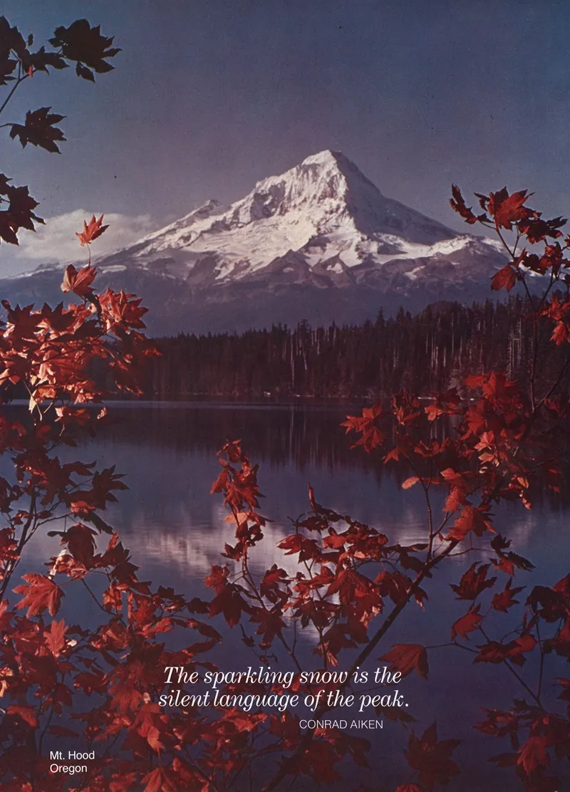 Scenically Yours The Sparkling Snow Is The Silent Language Of The Peak Mt Hood Oregon