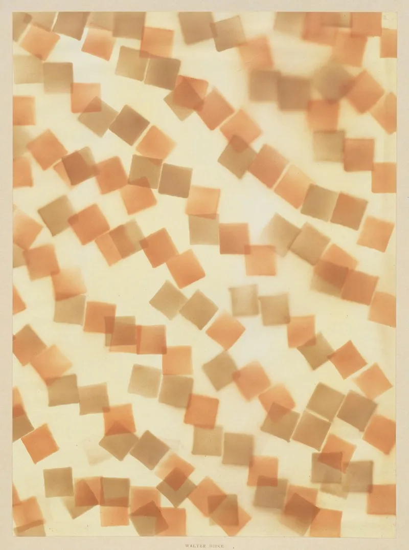 Schabloniertes Papier Schablonenspritzpapier 16