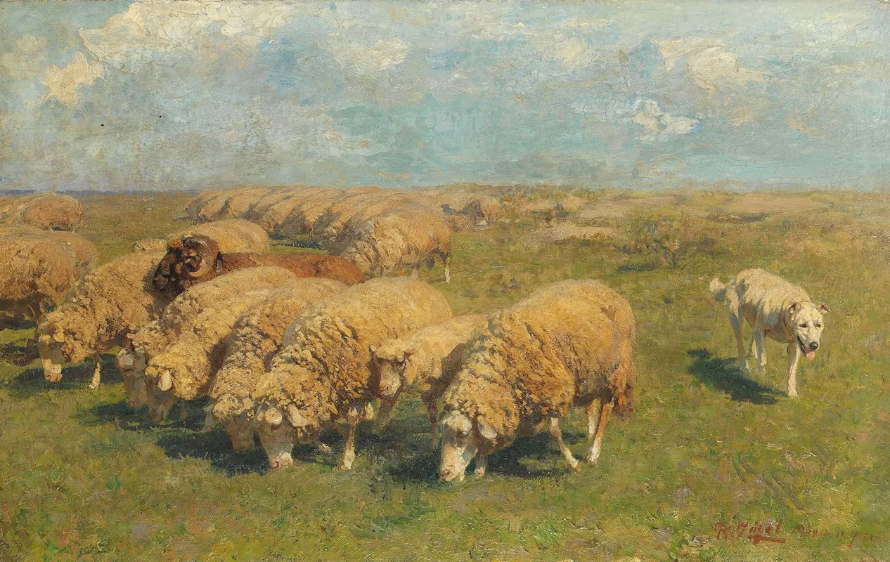 Schafherde Mit Hutehund Auf Der Weide