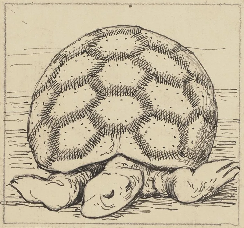Schildkrote