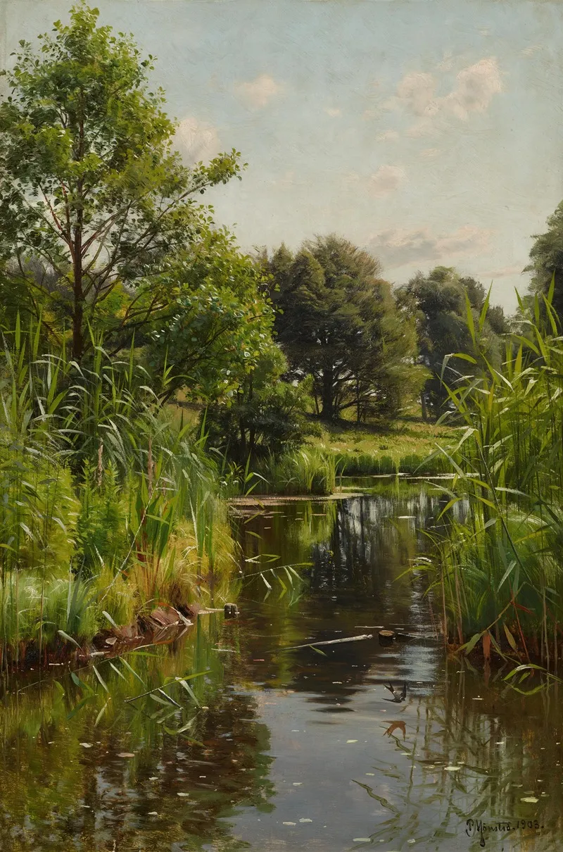 Schilf Im See