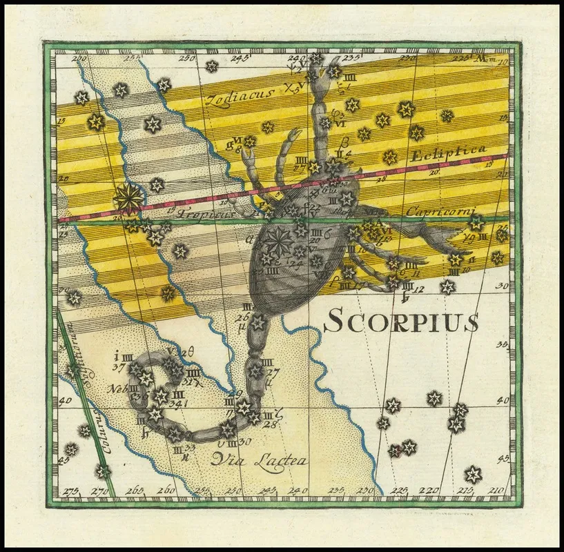 Scorpius Wall Art by Corbinian Thomas - High-Resolution Digital Print