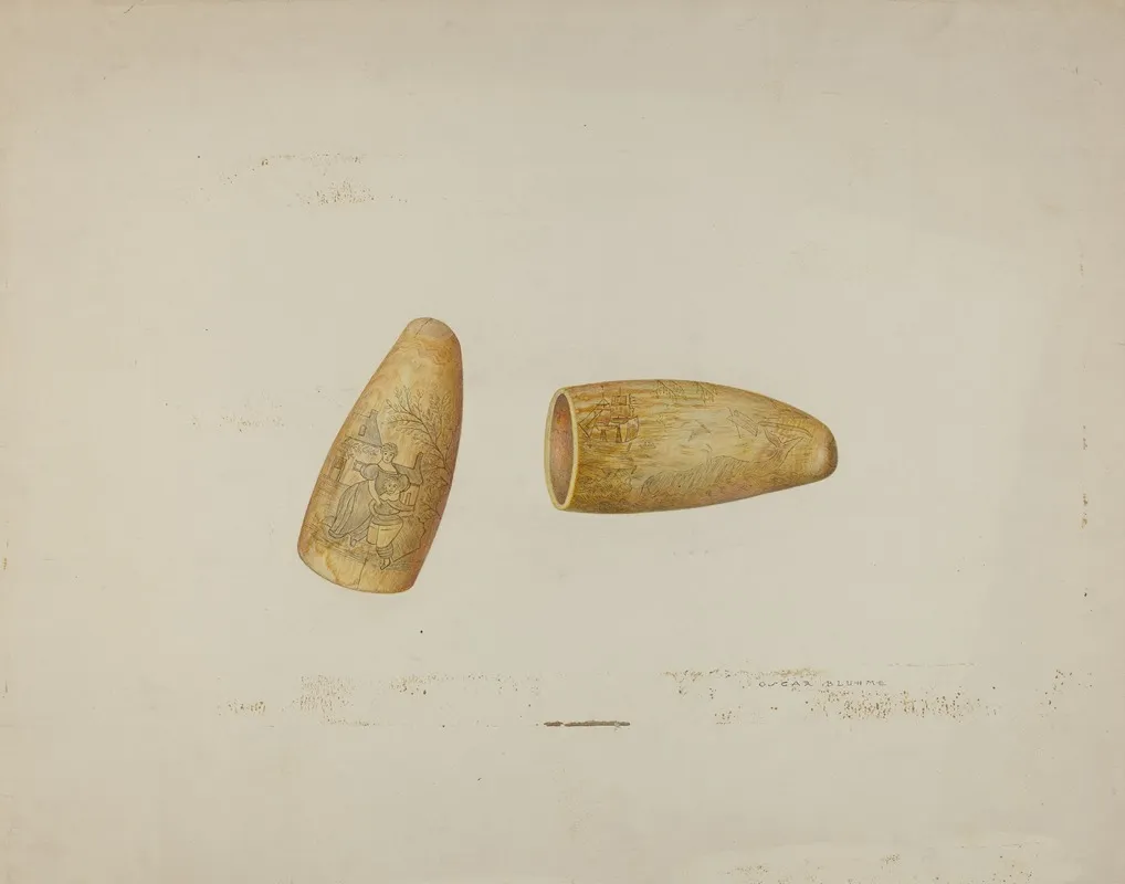 Scrimshaw Walrus Tusk