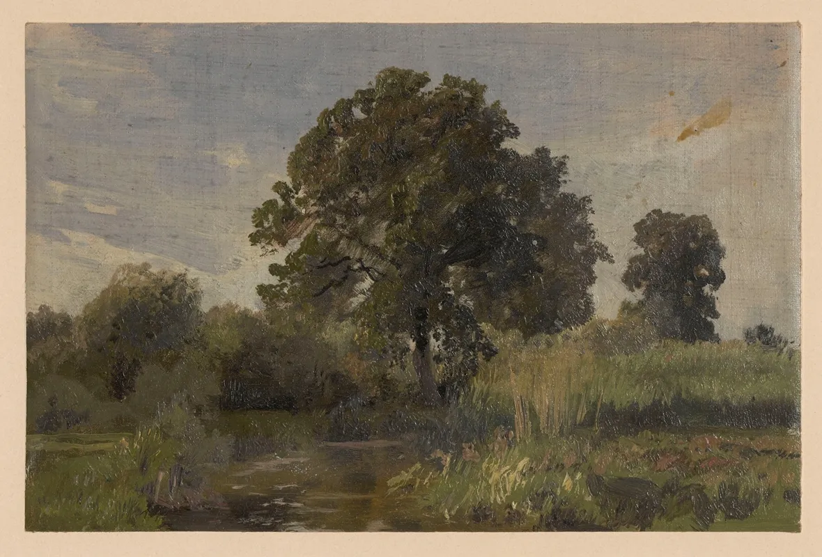 Scrub And Trees By The River Barycz