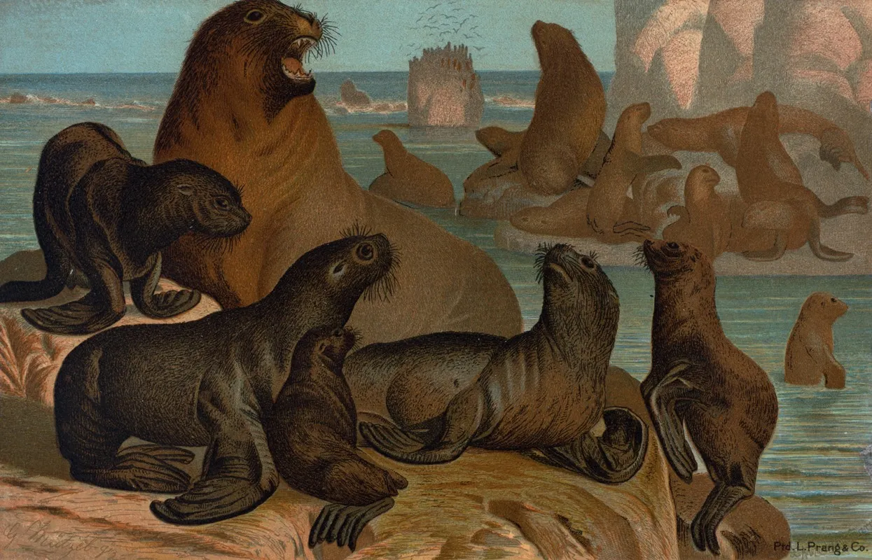 Sea Lion Wall Art by John George Wood - High-Resolution Digital Print
