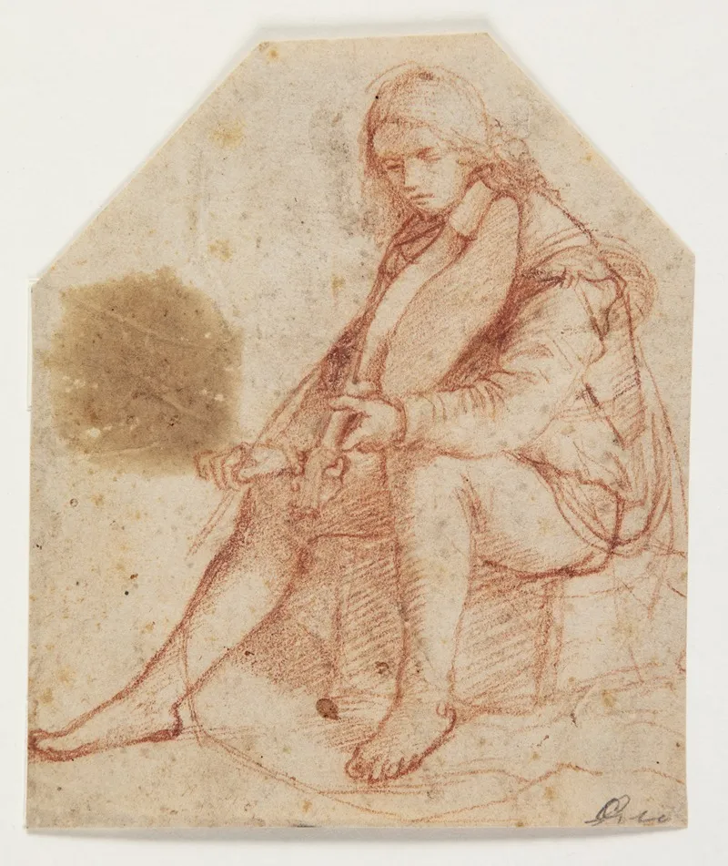 Seated Youth With Viola Wall Art by Bernardino Luini - High-Resolution Digital Print