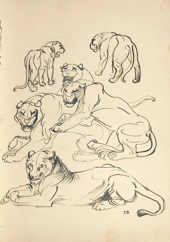 Sechs Pumas