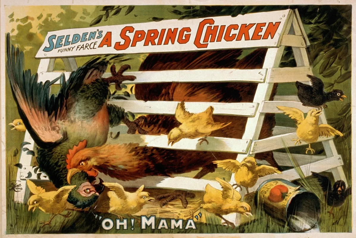 Seldens Funny Farce A Spring Chicken 2 Wall Art by H.C. Miner Litho. Co. - High-Resolution Digital Print