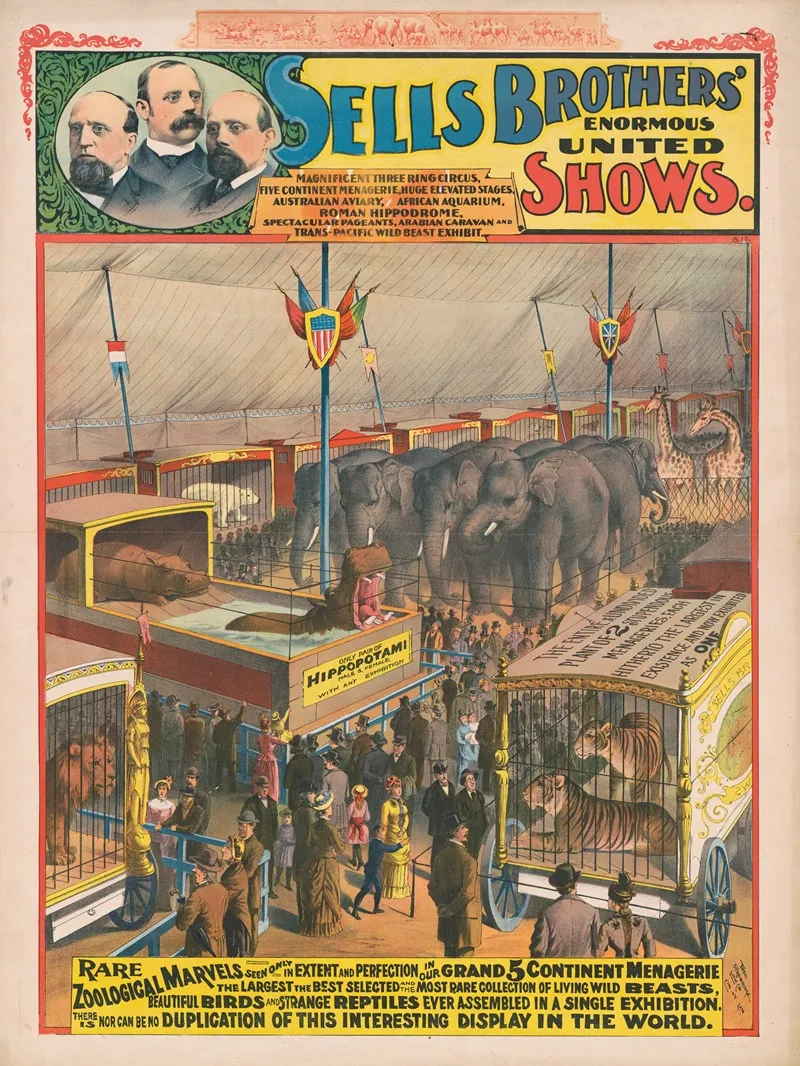 Sells Brothers Enormous United Shows Rare Zoological Marvels