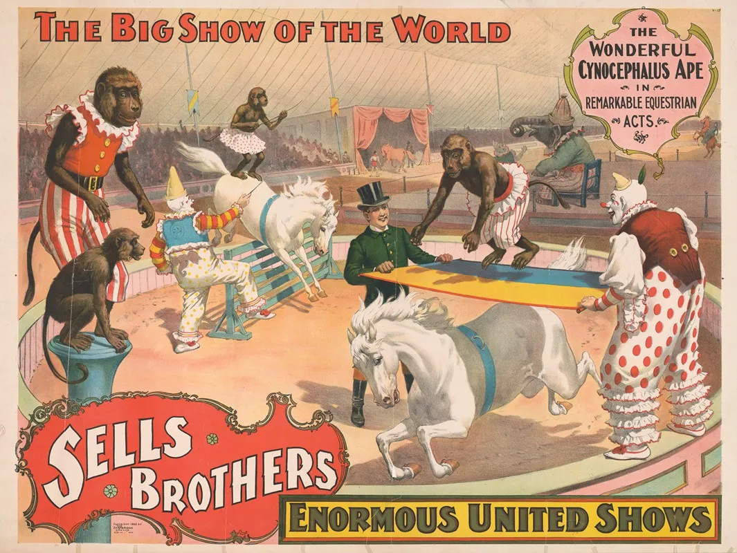 Sells Brothers Enormous United Shows The Wonderful Cynocephalus Ape In Remarkable Equestrian Acts