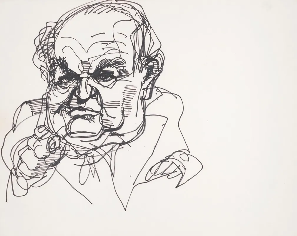 Senate Watergate Hearing Senator Points A Finger