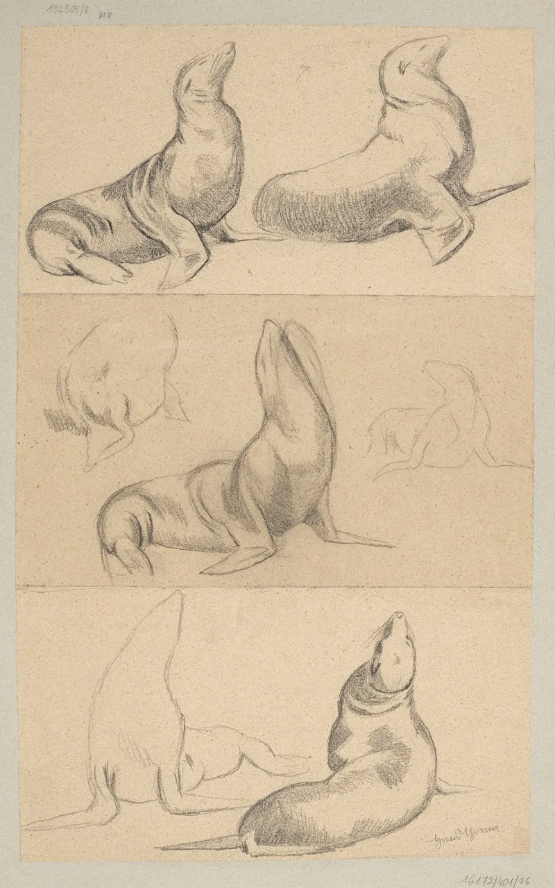 Seven Studies Of Seals Wall Art by Hans Thoma - High-Resolution Digital Print