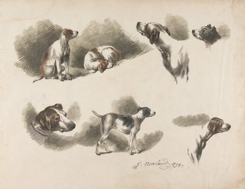 Seven Studies On Hound Wall Art by George Morland - High-Resolution Digital Print
