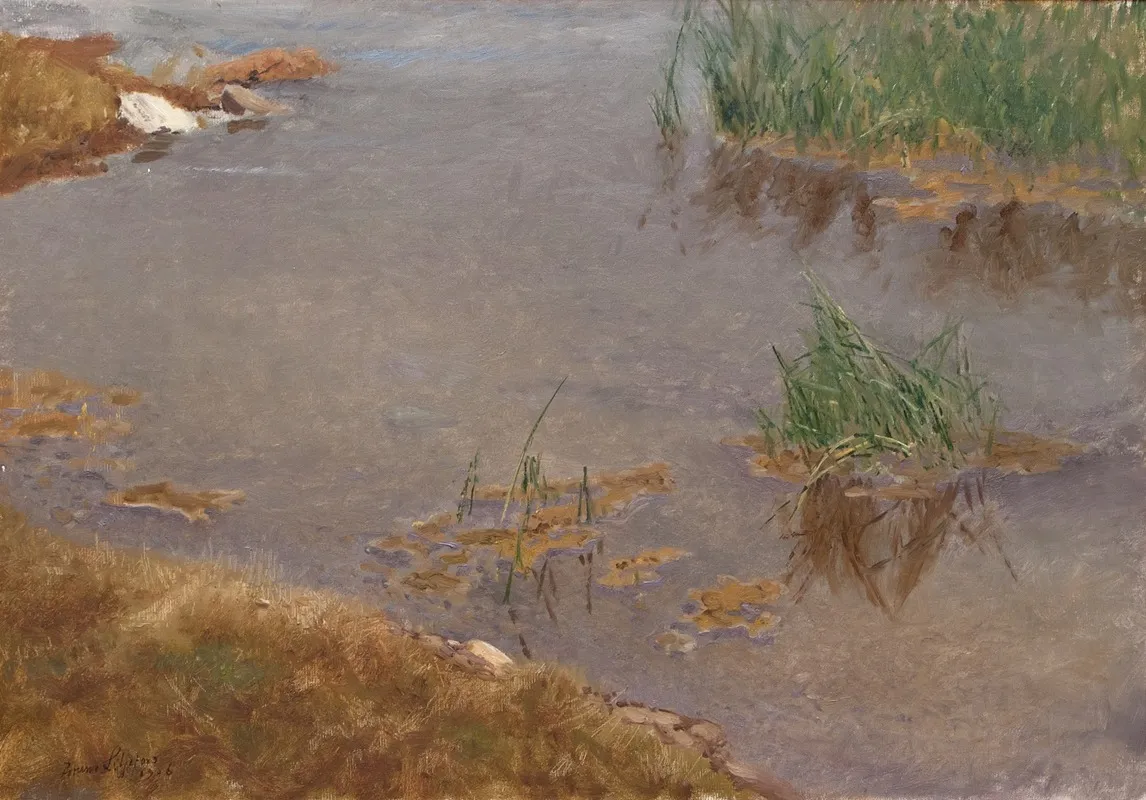 Shallow Water