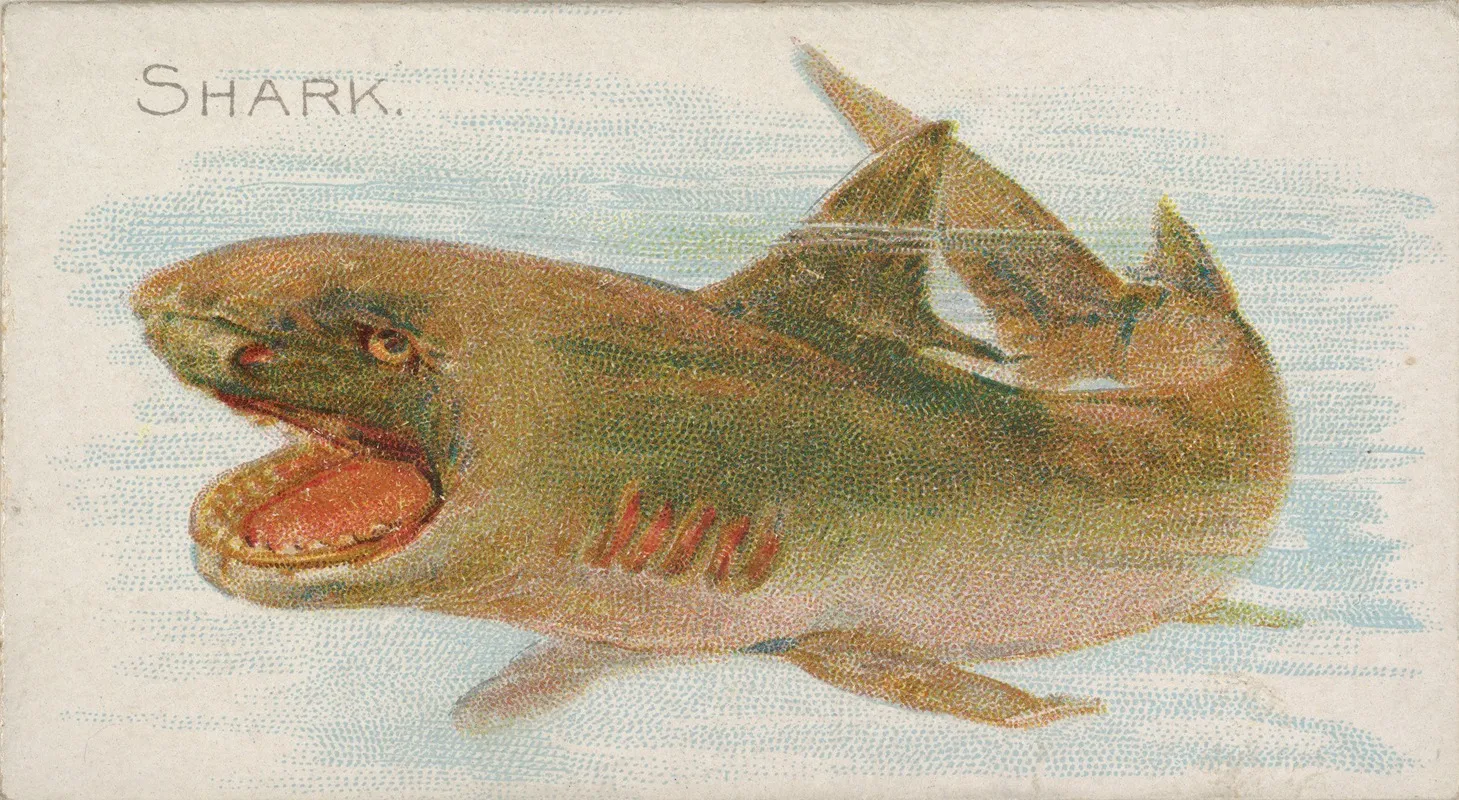Shark Wall Art by Allen &amp; Ginter - High-Resolution Digital Print
