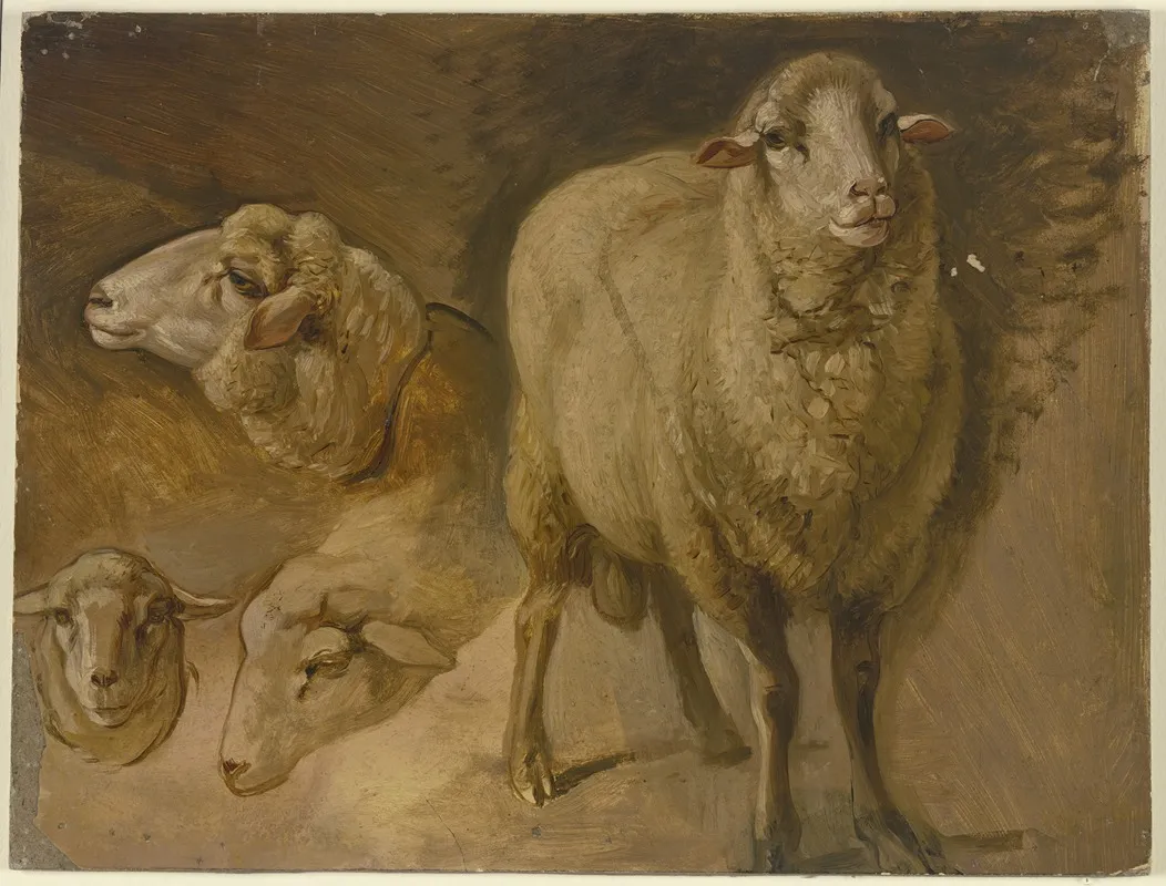 Sheep 10
