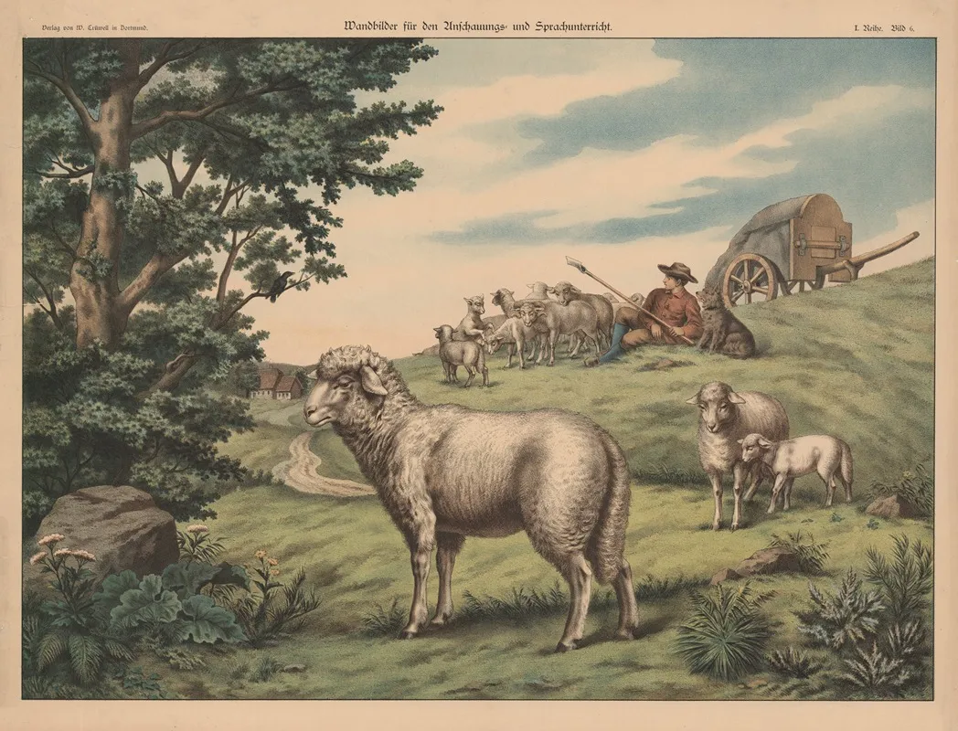 Sheep 17 Wall Art by W. Crüwell - High-Resolution Digital Print