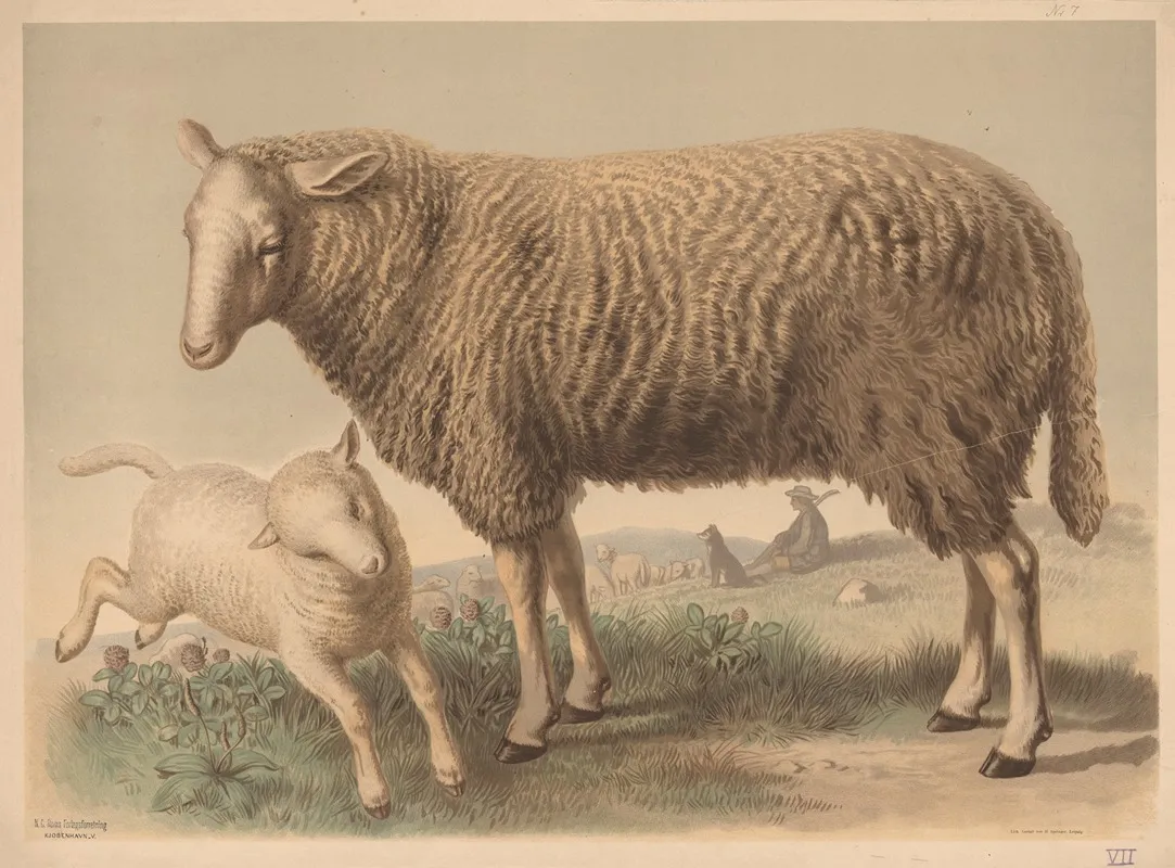 Sheep 20 Wall Art by Emil Schmidt - High-Resolution Digital Print