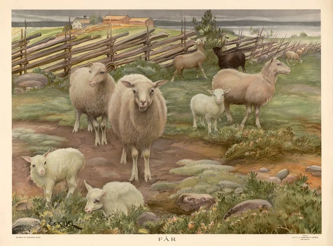 Sheep 21 Wall Art by Ernst Küsel - High-Resolution Digital Print