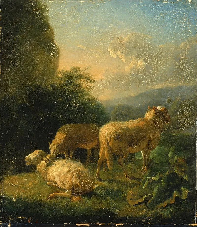 Sheep 2