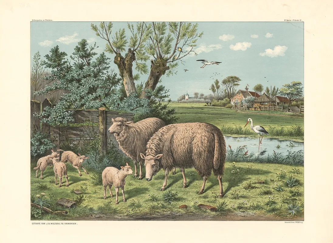 Sheep And Storks