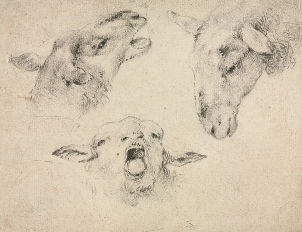 Sheep Heads Wall Art by Wouterus Verschuur - High-Resolution Digital Print