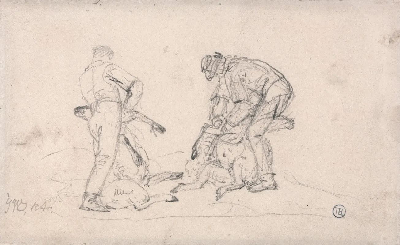 Sheep Shearing 2