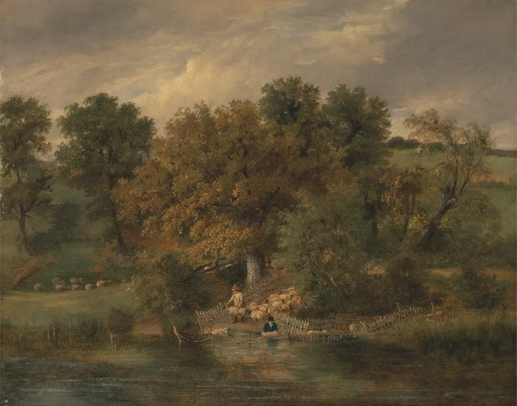 Sheep Washing At Postwick Grove Norwich