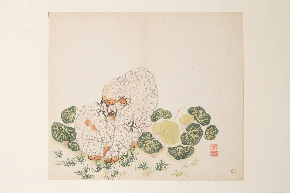 Shi Zhu Zhai Pl 39 Wall Art by Anonymous - High-Resolution Digital Print