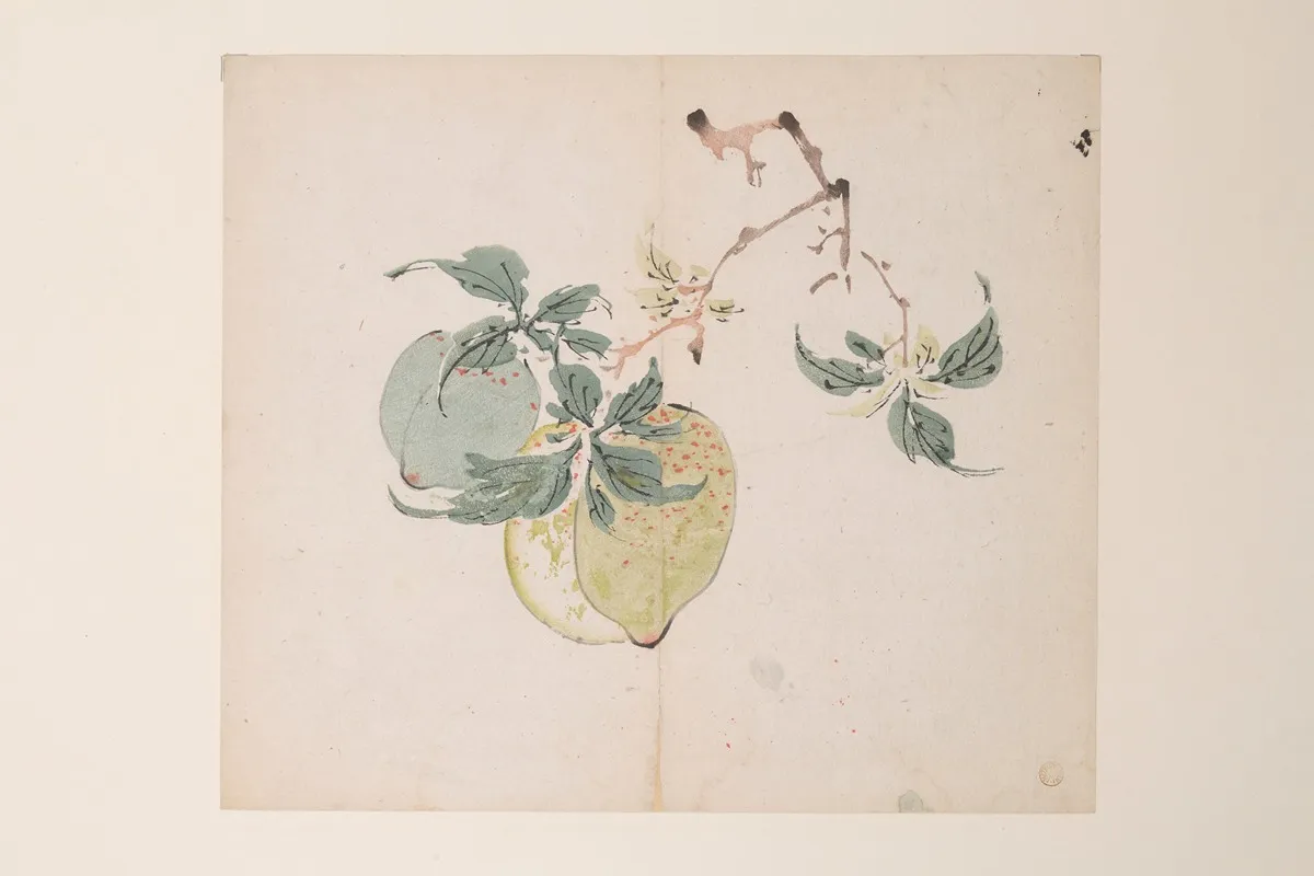 Shi Zhu Zhai Pl 46 Wall Art by Anonymous - High-Resolution Digital Print