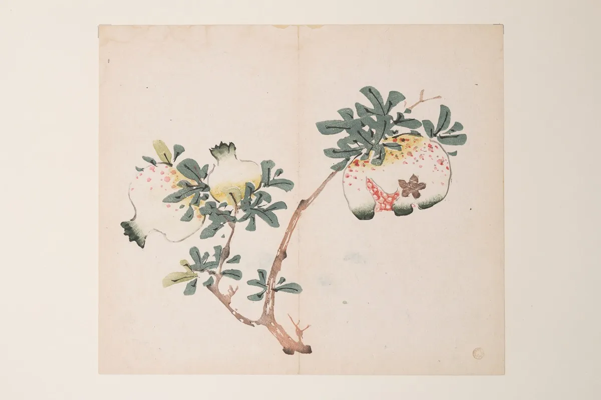 Shi Zhu Zhai Pl 52 Wall Art by Anonymous - High-Resolution Digital Print