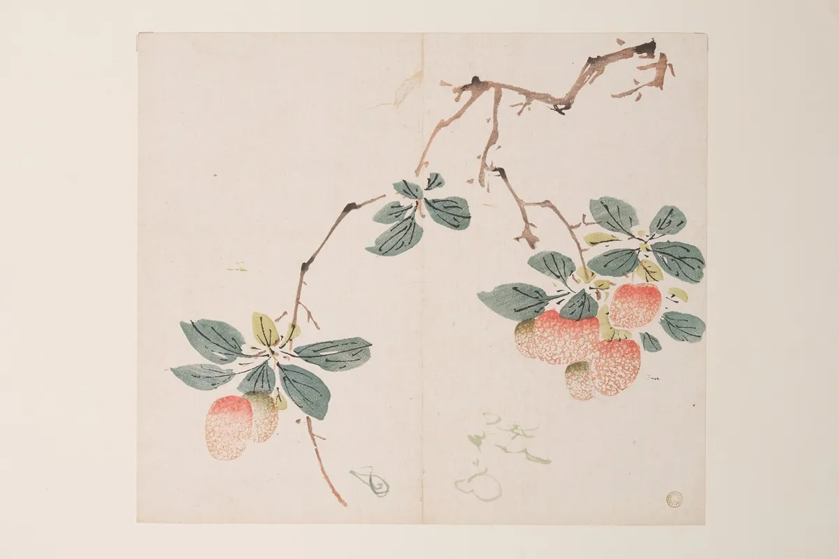 Shi Zhu Zhai Pl 55 Wall Art by Anonymous - High-Resolution Digital Print