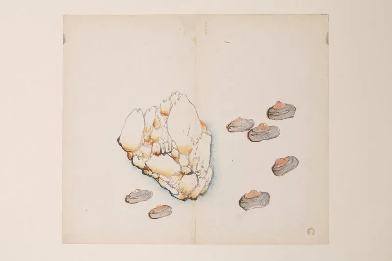 Shi Zhu Zhai Pl 58 Wall Art by Anonymous - High-Resolution Digital Print