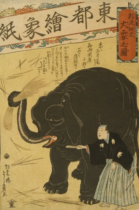 Shindo Hakurai Ozo No Zu