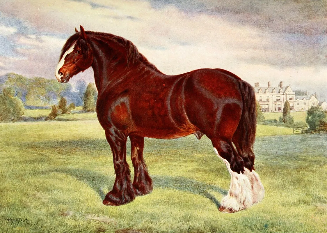 Shire Stallion Harold Wall Art by Frank Babbage - High-Resolution Digital Print