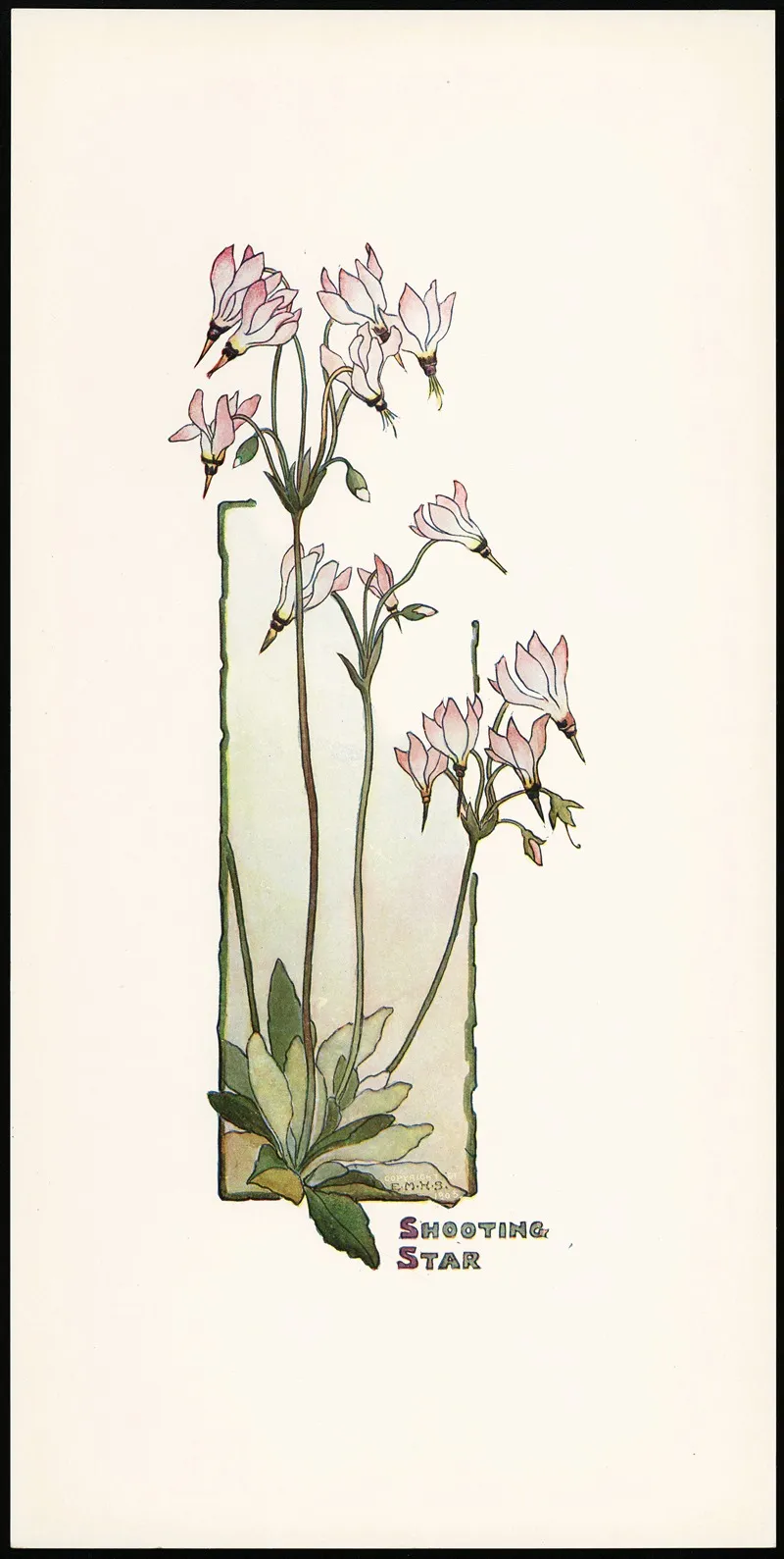 Shooting Star Wall Art by Elizabeth Moore Hallowell - High-Resolution Digital Print