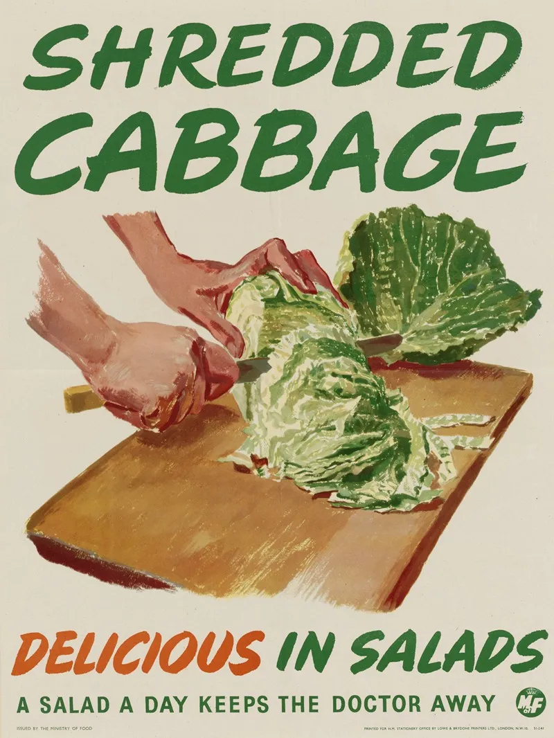 Shredded Cabbage Delicious In Salads
