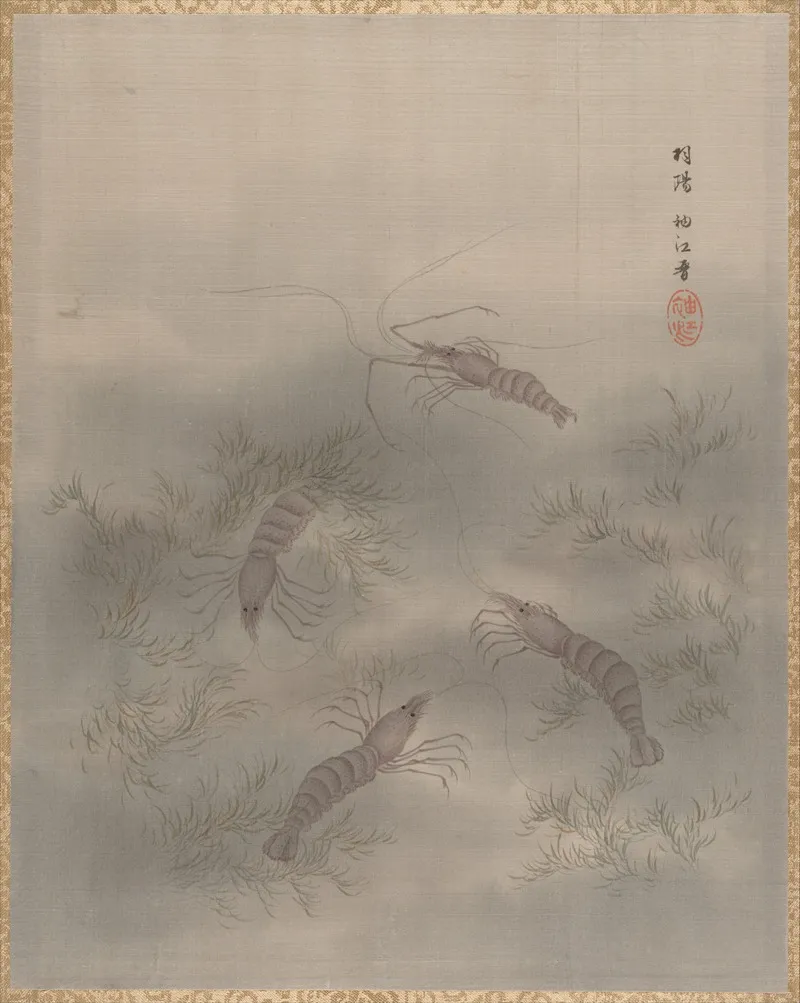 Shrimp Ebi