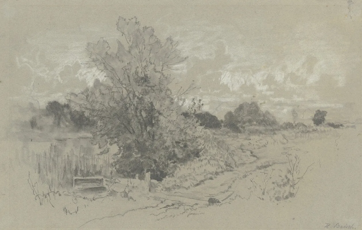 Shrubbery At A Pond