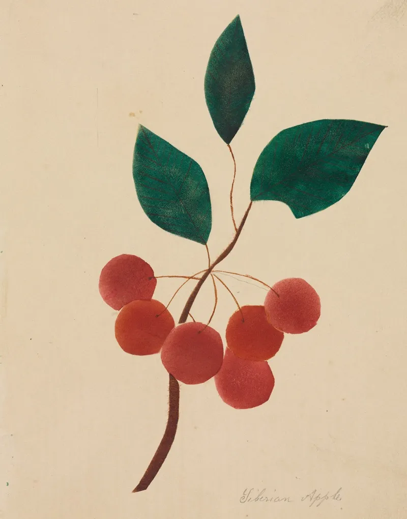 Siberian Apple Wall Art by Mary Altha Nims - High-Resolution Digital Print