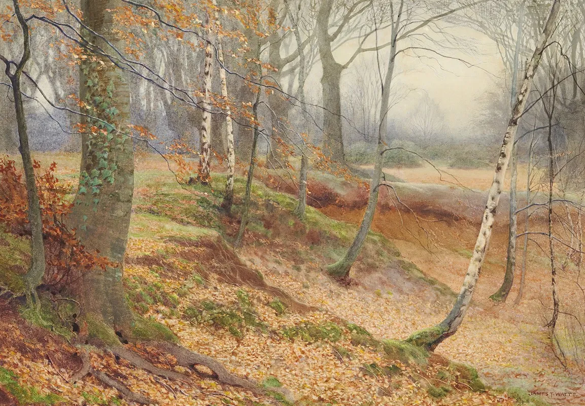 Silver Birch And Beech Wood In Autumn