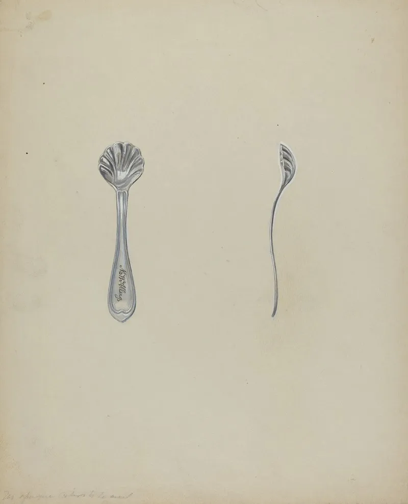 Silver Salt Spoon