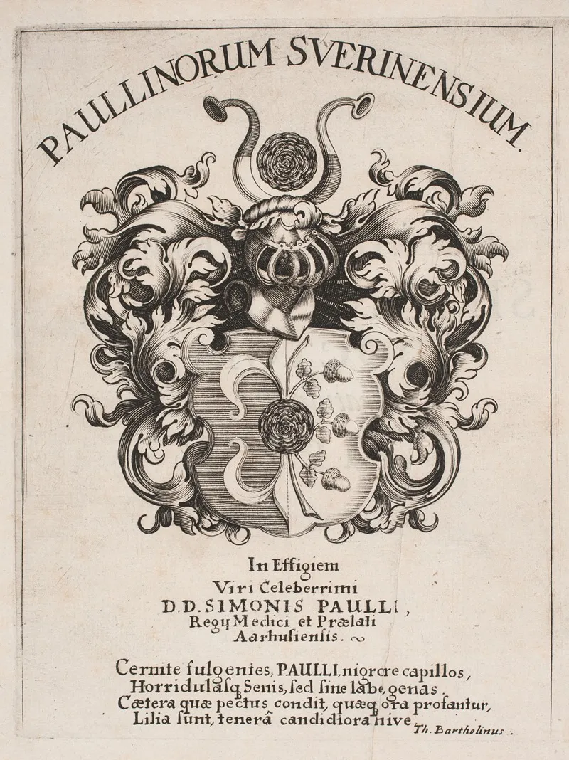 Simon Paullis Vabenskjold Illustration Til Simon Paulli Quadripartitum Botanicum