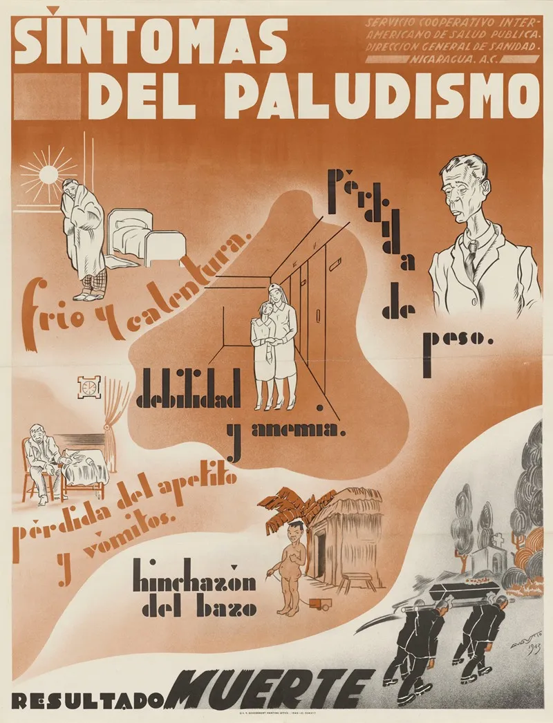 Sintomas Del Paludismo