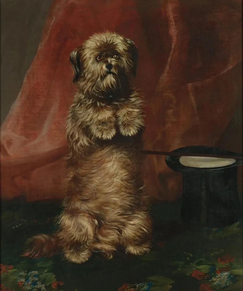 Sit Up Sir Ginger Wall Art by Henry Barraud - High-Resolution Digital Print