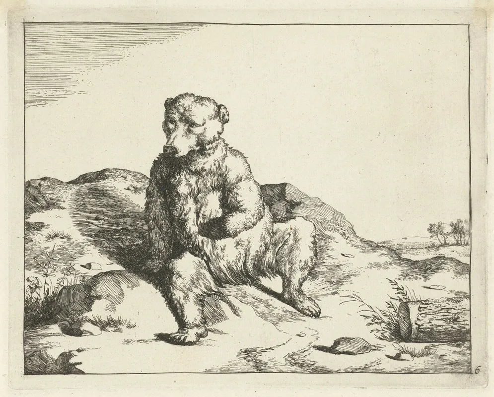 Sitting Bear Seen From The Front Wall Art by Marcus de Bye - High-Resolution Digital Print