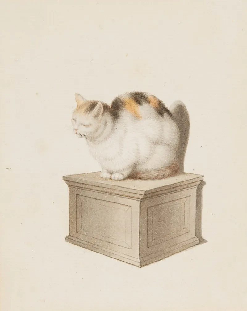 Sitzende Katze Wall Art by Gottfried Mind - High-Resolution Digital Print
