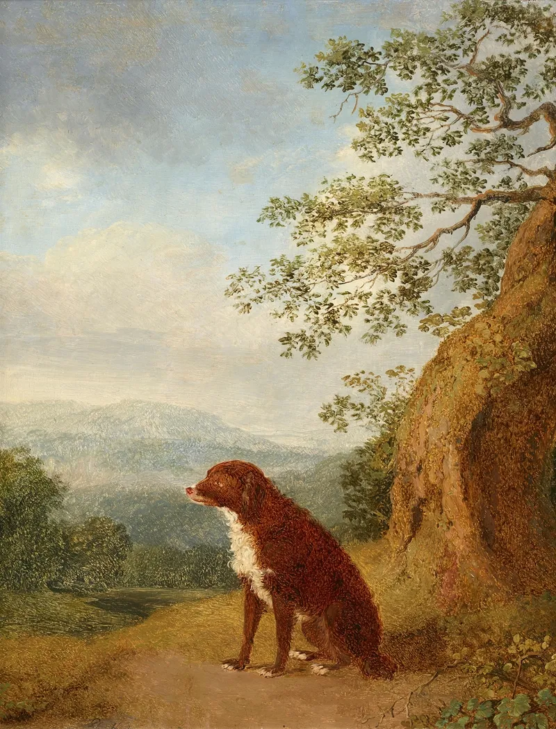 Sitzender Hund In Landschaft