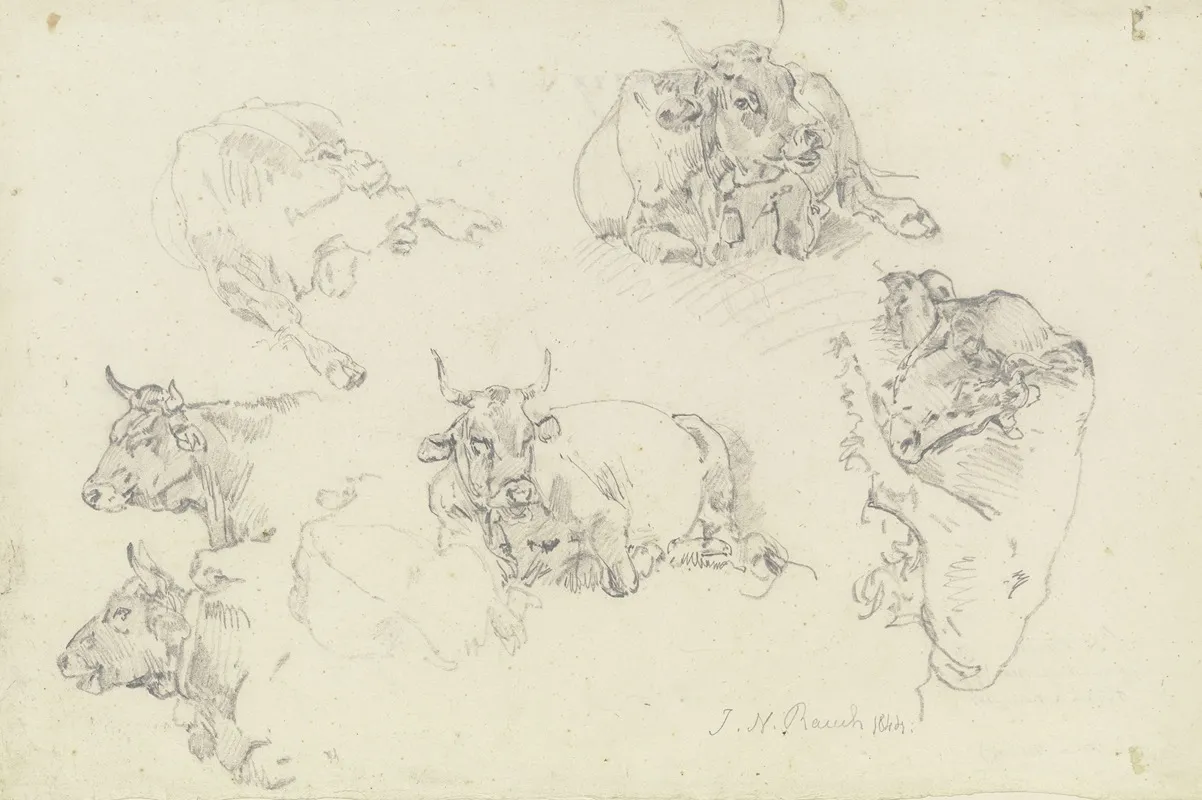 Six Cattle